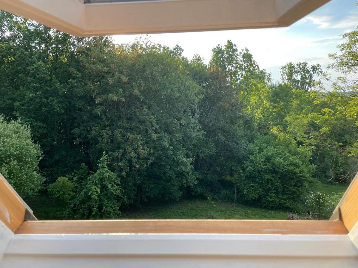 La Canopee Des Arbres, Juliette Ellezelles Buitenkant foto