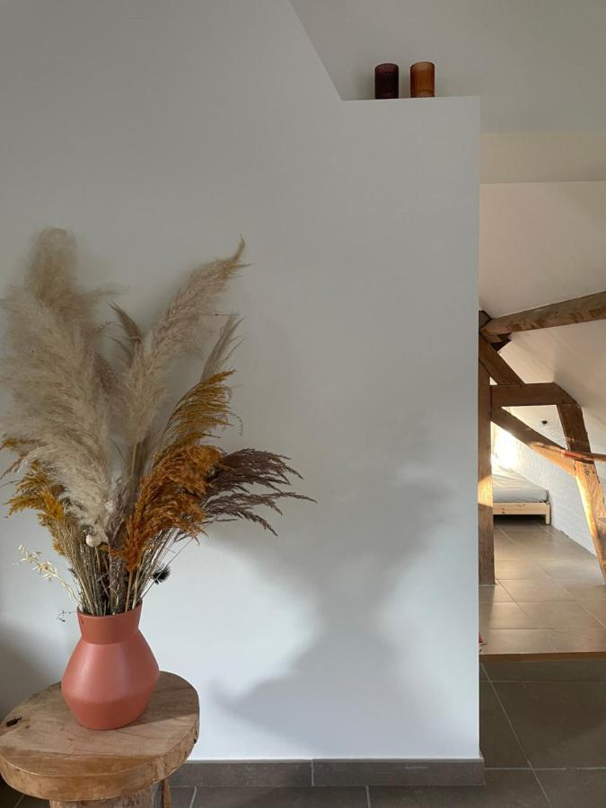 La Canopee Des Arbres, Juliette Ellezelles Buitenkant foto