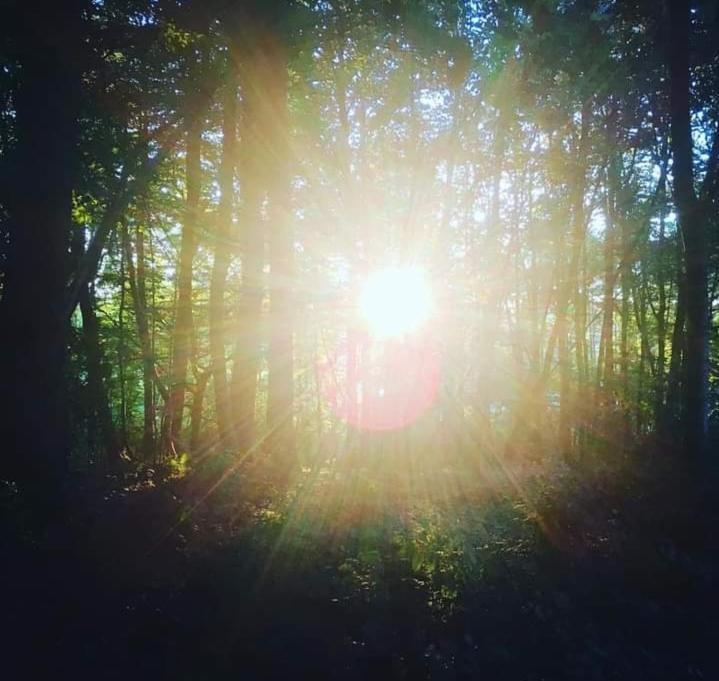 La Canopee Des Arbres, Juliette Ellezelles Buitenkant foto