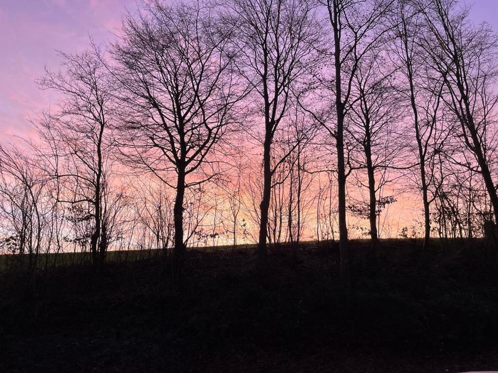 La Canopee Des Arbres, Juliette Ellezelles Buitenkant foto